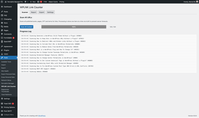 Scanner screen showing AJAX progress bar scanning all URLs with a progress log